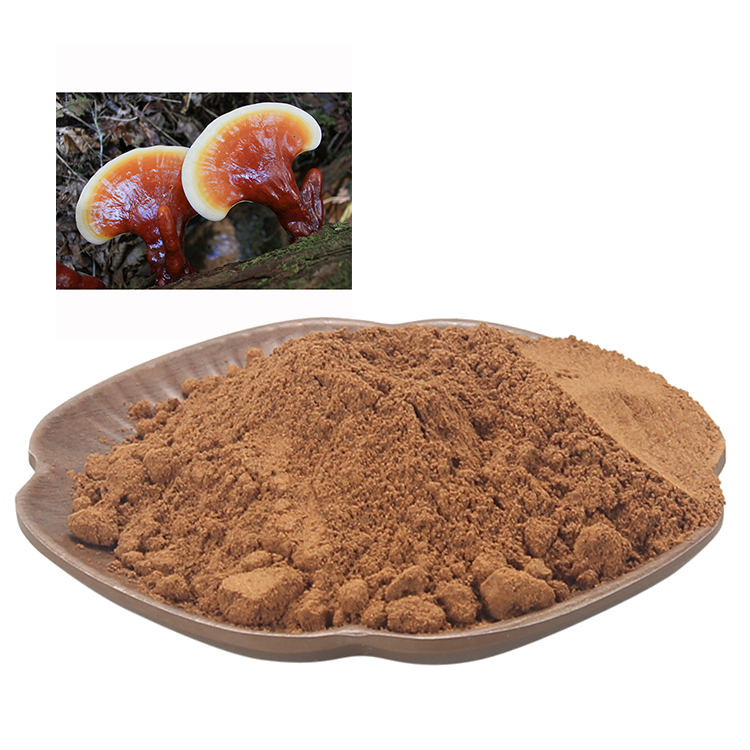 Top Benefits of Red Reishi Mushroom for Liver Function